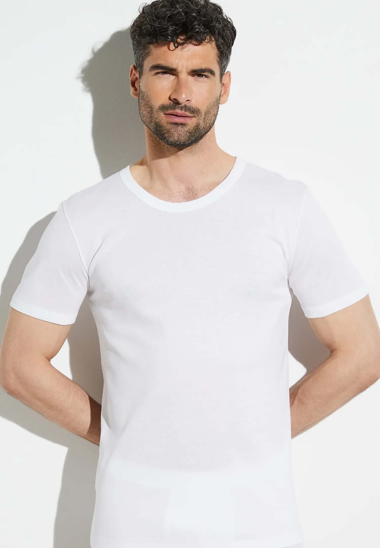 Zimmerli T-Shirts>Businessclass Shirtkurzarm-White