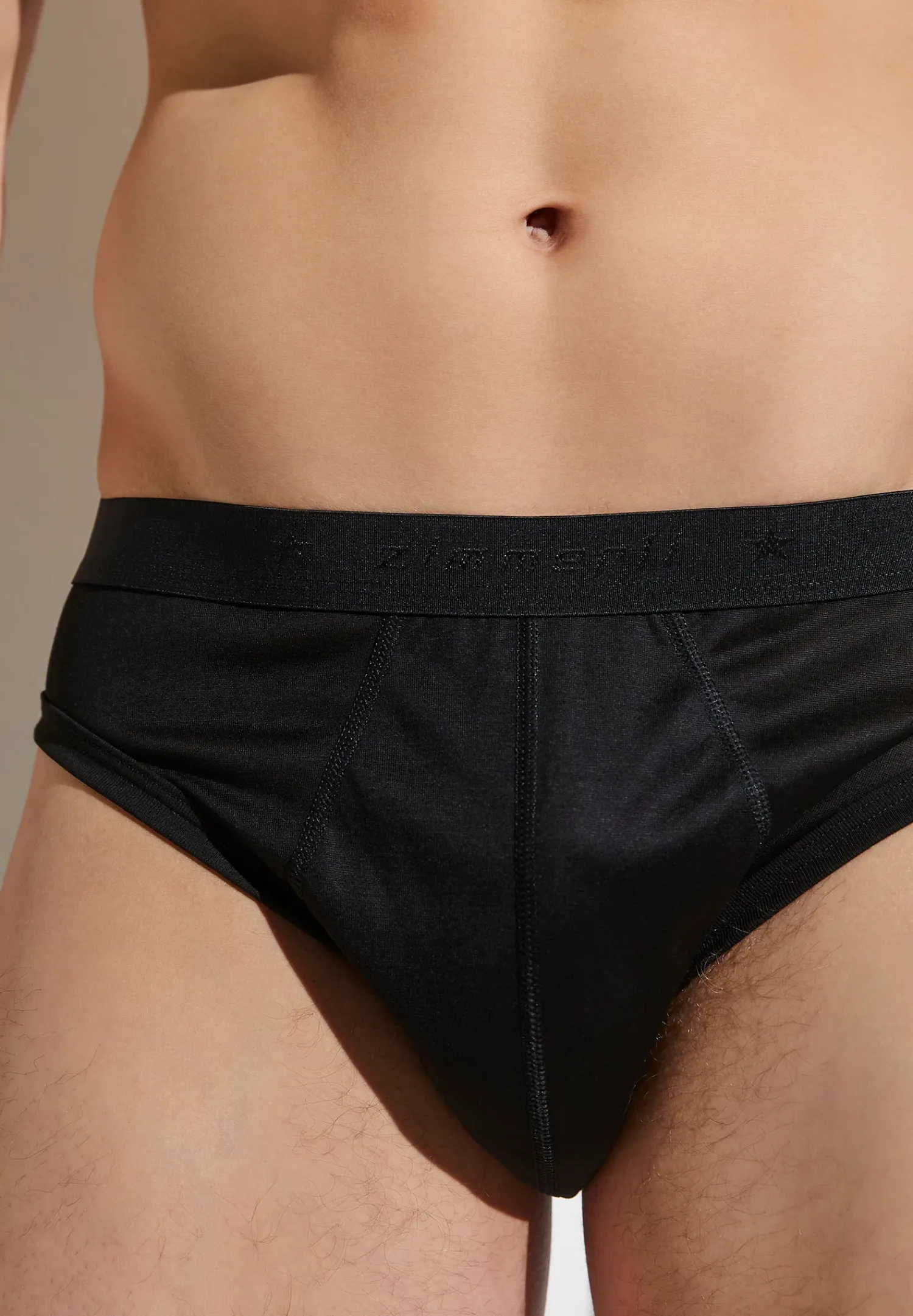 Zimmerli Slips>Royalclassic Black